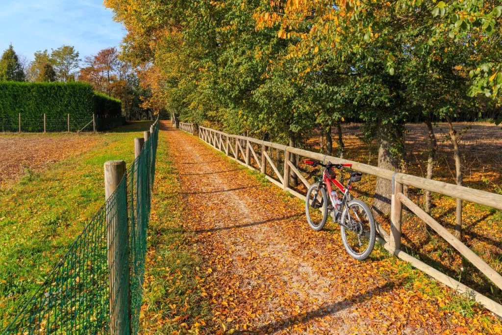 Cykel veneto
