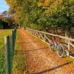 Cykel veneto
