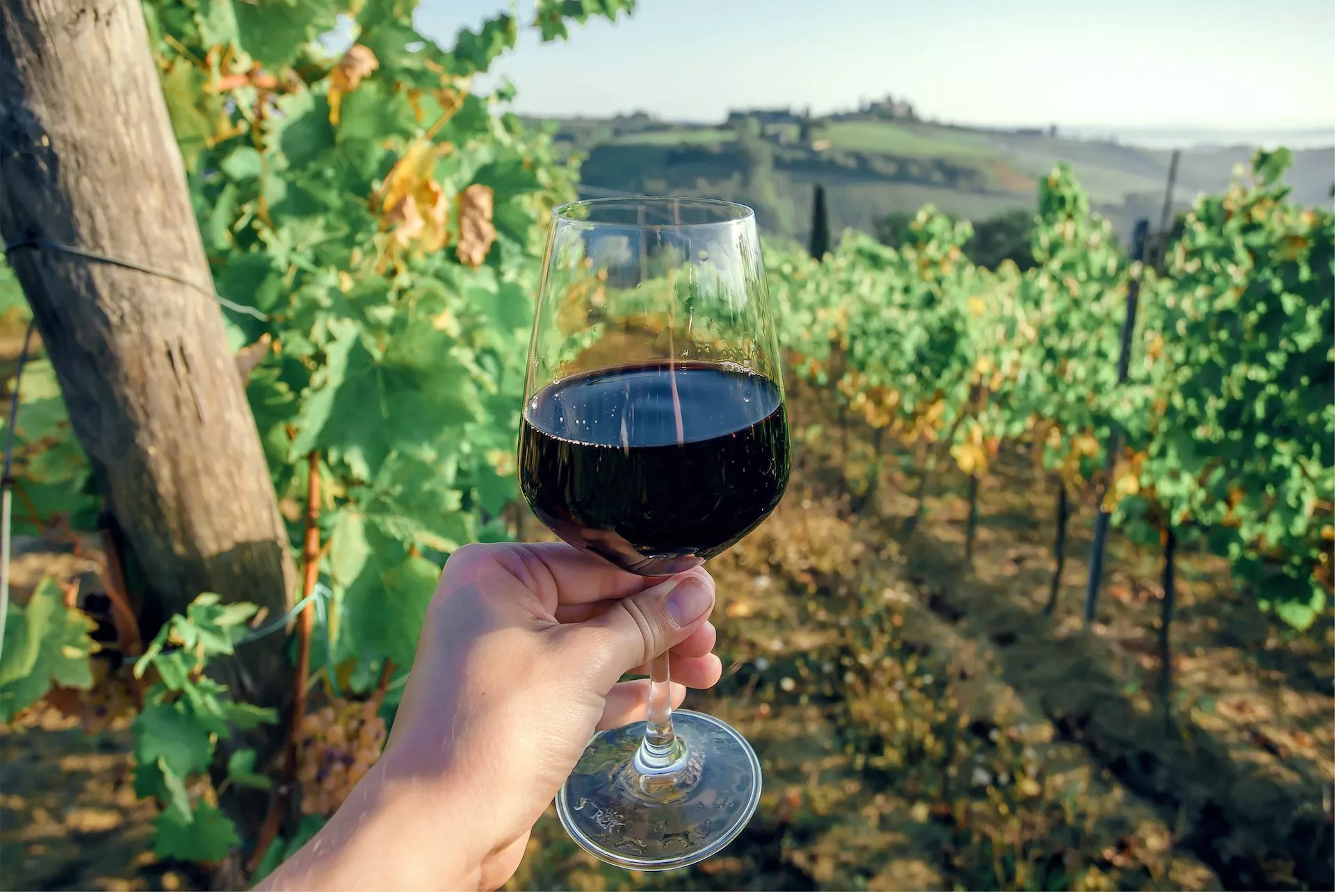 Chianti wine