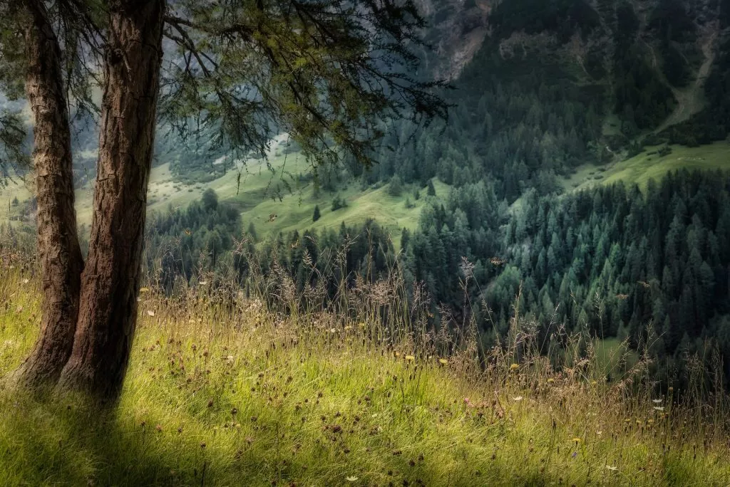Dolomiten Natur