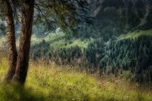 Dolomiten Natur