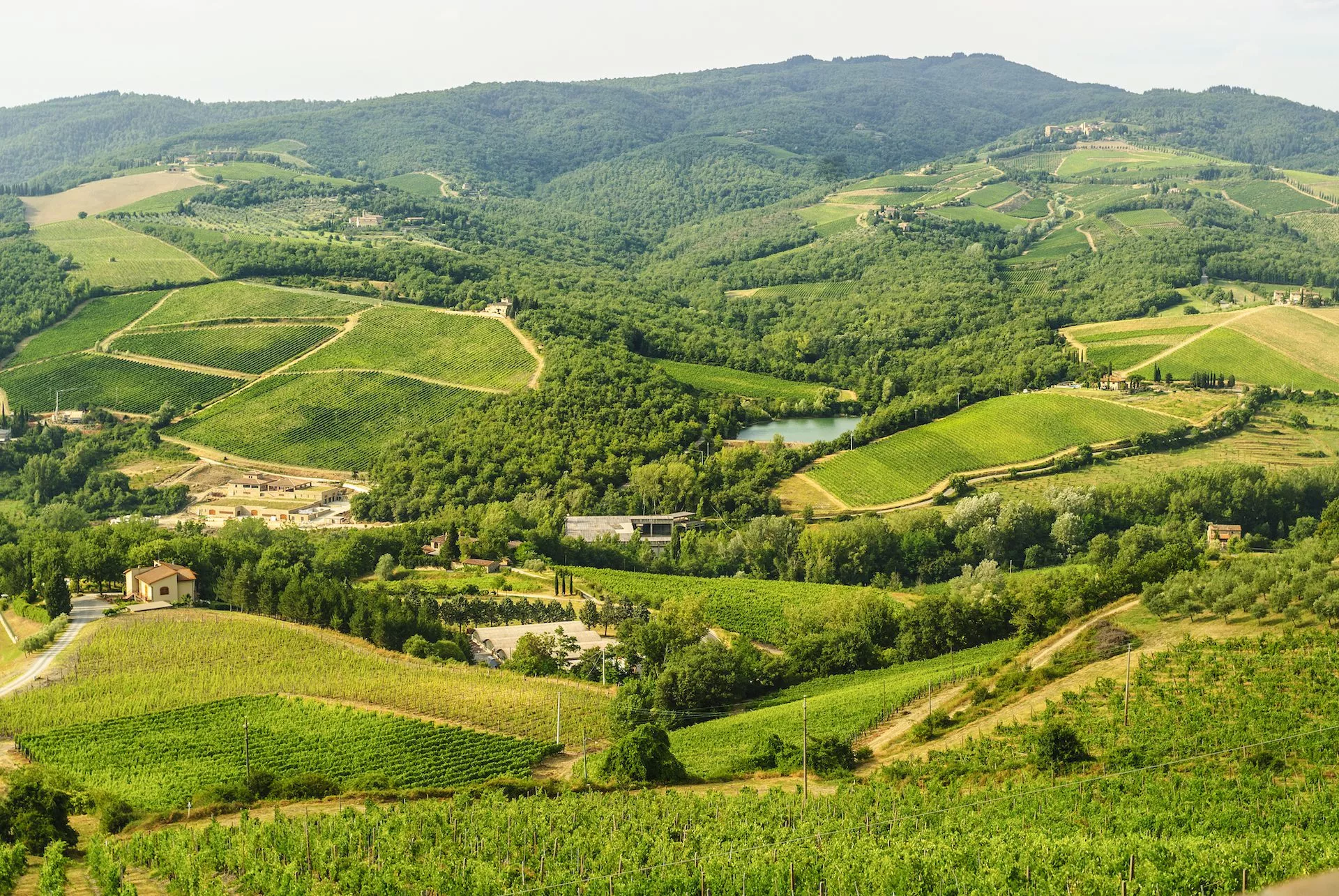 Landscape near radda