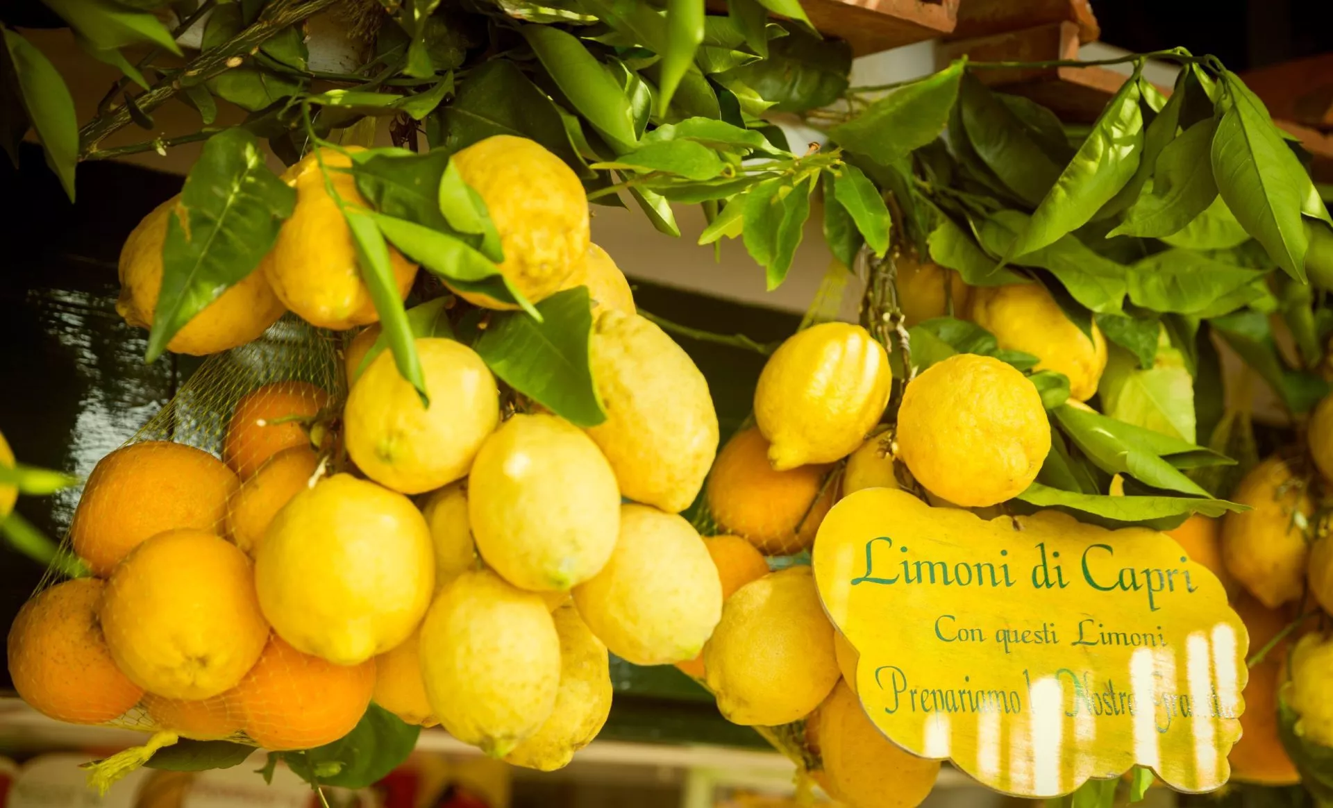 Citroner fra øen Capri