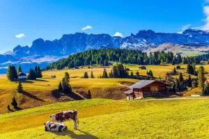 Aussichtsreiche Seiser Alm