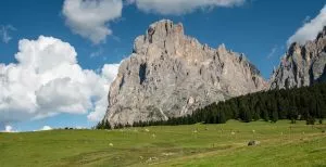 Ansichten von Saltria